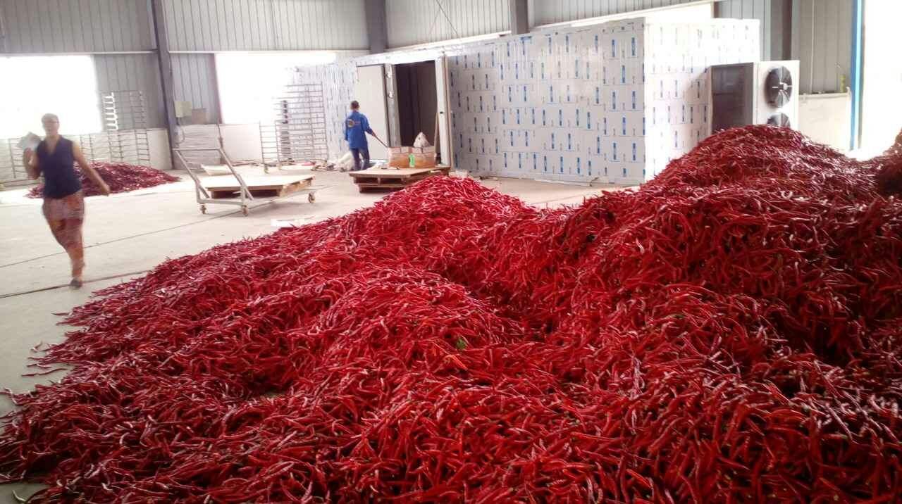 ������əC >