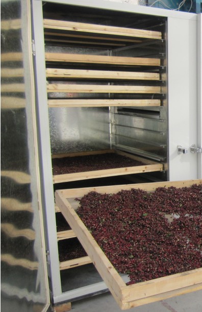 ������əC(j��) >