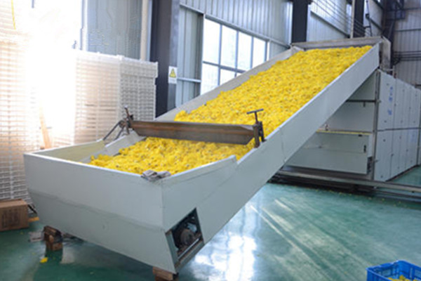 �W(w��ng)��ʽ�ջ���əC(j��)