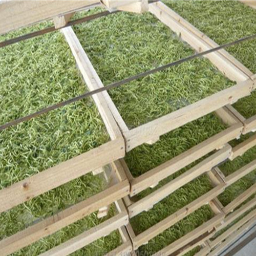 ���y����əC(j��) >