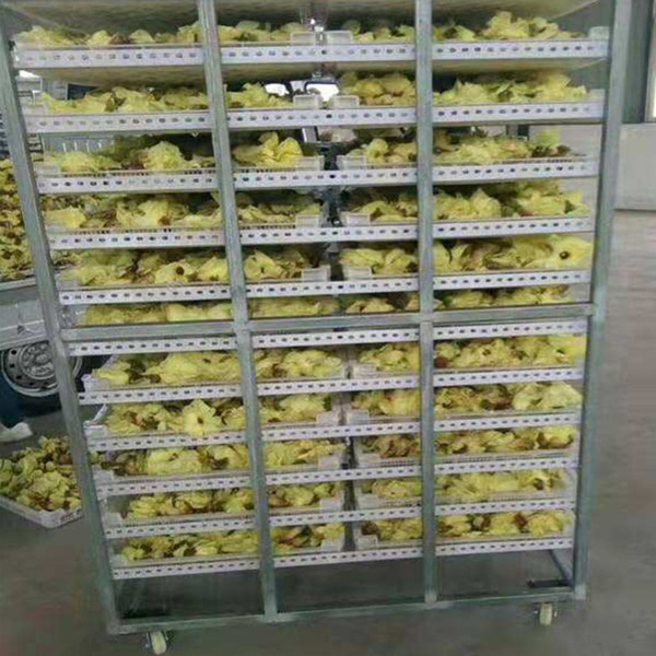 �S�����əC(j��) >