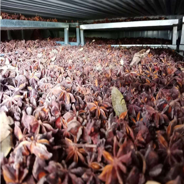 �˽Ǻ�əC(j��)