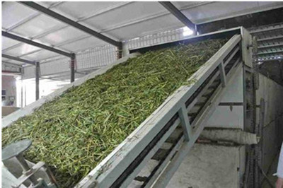 �W(w��ng)����əC(j��)