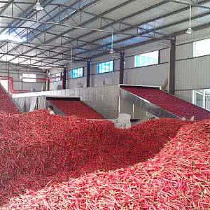 �F�ݿ͑�������ʽ��əC(j��)