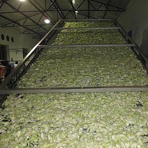 ɽ�|�͑��}����ɬF(xi��n)��(ch��ng)