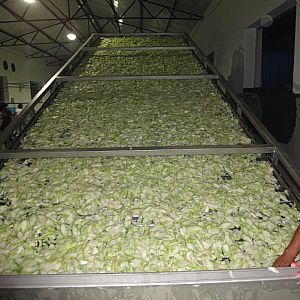 �W(w��ng)����əC