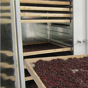 ������əC >