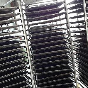 ɣ�غ�əC(j��) >