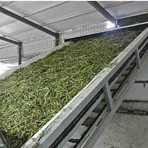 �W(w��ng)��ʽ���ݺ�əC(j��)