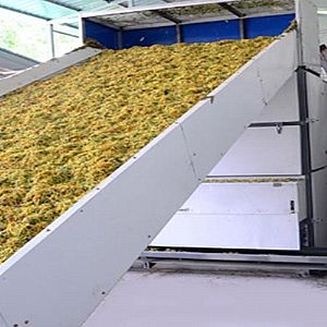 �W(w��ng)��ʽ���y����əC(j��)