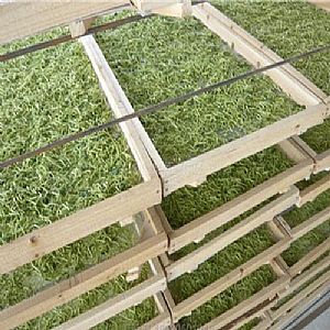 ���y����əC >