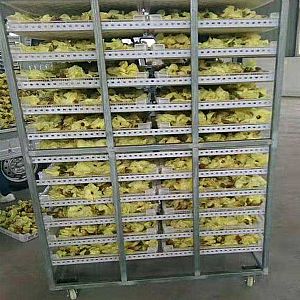 �S�����əC >