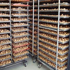 ���Һ�əC(j��) >